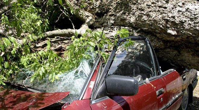 Şiddetli Rüzgar Samsun’da Zarara Neden Oldu: Ağaç 2 Araç Üzerine Devrildi